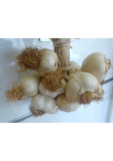 Kastamonu Taşköprü Sarımsağı 5 KG