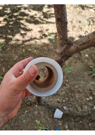 Şeffaf Bitki Aşı Bandı