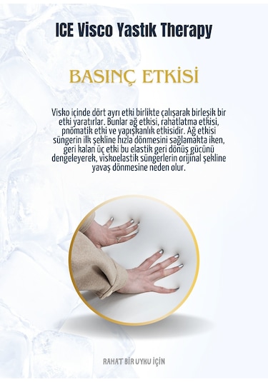 Ice Visco Yastık Boyun Fıtığı Boyun Düzleşmesi Destekli Lüks Yastık Taşıma Çantalı