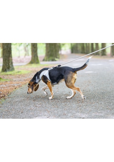 Beeztees Köpek Göğüs Tasması, Neopren,gri, M, 41-46cm Çok Renkli