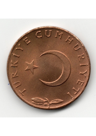 5 Kuruş 1965 Çil Eski Madeni Para