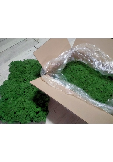 Trend Bahçe Reindeer Moss Forest Green Şoklanmış Norveç Yosunu 4 KG