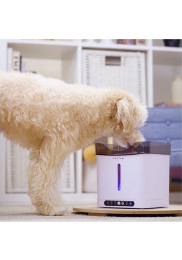 Aclıum Sensörlü Köpek Su Sebili 2,4 L