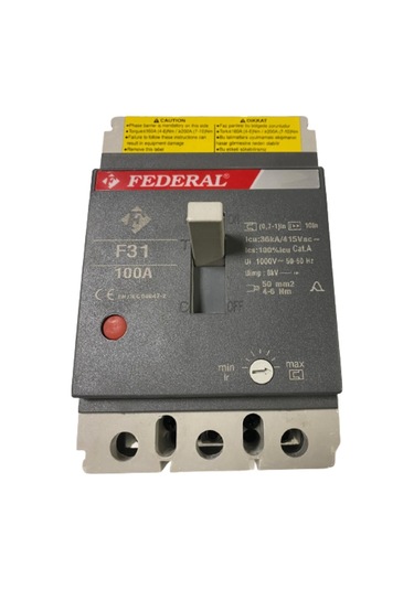 Federal F31 100A Ayar Sahalı Kompakt Şalter
