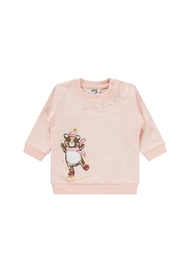 Civil Baby Bereli Ayıcık Baskılı 6-18 Ay Takım - Pembe