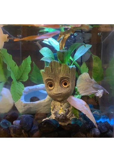 Hqgoodstore Yeni Akvaryum Peyzaj Aksesuarları Reçine Pnömatik Akvaryum Dekorasyon Groot Treehouse Galaxy Koruyucu Saksı