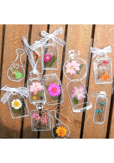 Dianziye Öğrenci Ve Çocuklar İçin El Yapımı Bitki Örnekleri Yapım Seti - Şeffaf Malzeme, Paslanmaz Çelik Pinçer Ve Sütlü Boyalar