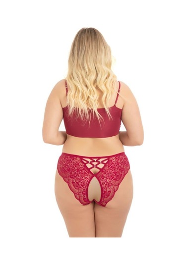 Transparan Tüllü Dantel Ve Taş Detaylı Özel Bölgesi Açık Büyük Beden Kadın Tanga Külot 3'lü Paket-2 Renkli-3