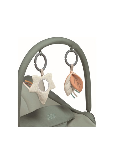 Mamas Papas Tempo 3'ü 1 Arada Ana Kucağı Rocker / Bouncer - Ivy