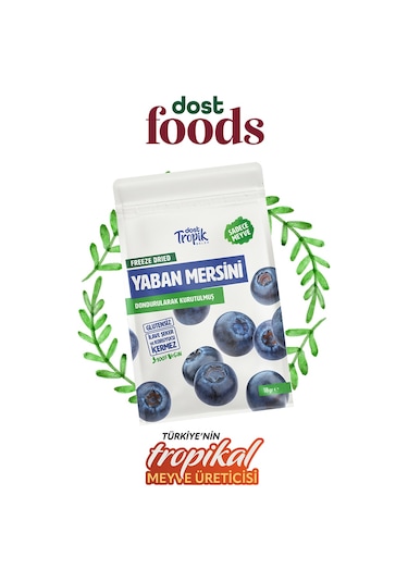 Dondurularak Kurutulmuş Yaban Mersini 18 G Freeze Dried Meyve Cipsi Çıtır Meyve Kurusu 12 Adet
