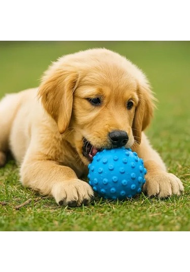 Petzoom Mavi Dikenli Köpek Oyun Topu