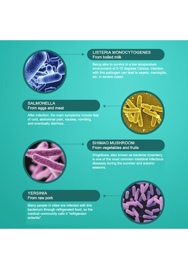 Küçük İyonlaştırıcı Hava Temizleyici Ozon Ev İçin Vücut Algılama Ve Zamanlayıcı 3 Çalışma Modu
