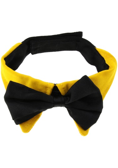 Homyl Ayarlanabilir Pet Köpek Tasması Köpekler Turuncu-s Turuncu