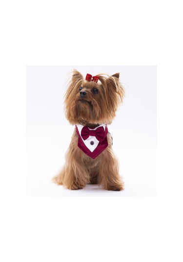 Pawstar Bordo Smokin Kedi Köpek Fuları Pet Bandanası