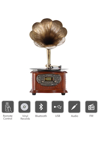 Record Master RMJ-209C Radyo Bluetooth USB Gramofon Pikap