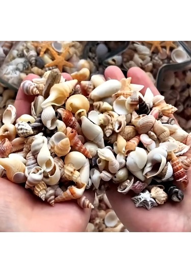 Willowhaven 120g Renkli Mini Reçin El Yapımı Deniz Kabuğu Kum Mix Akvaryum Dekor Dıy Tırnak Sanatı