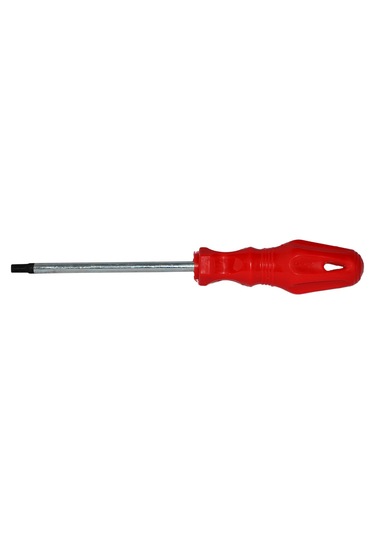 Tornavida Torx T10