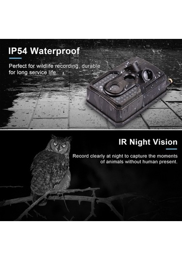 Dancemonkey Andoer Yaban Hayatı Kamerası - 1080p, 120 Açıklık, 0.8s Tetikleme, Ir Gece Görüşü, Ip54 Su Geçirmez, 32gb Harici Bellek, 1/4 Arayüz Çok Renkli