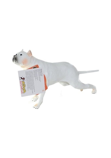 Soft Sevimli Köpek