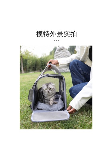 Kedi Çantası Katlanabilir Küçük Köpek Ve Kedi Gezi Çantası