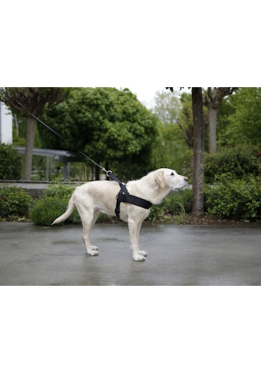 Köpek Bel Tasması Siyah Norveç Tipi 65 - 85 Cm Siyah
