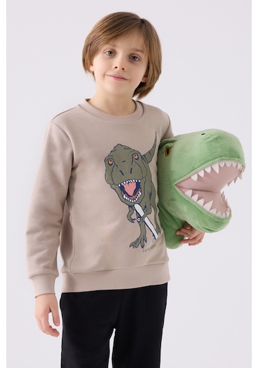 Rolypoly Erkek Çocuk Eşofman Takımı Rp3430 Kum Kum