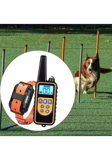 Suntek Köpek Eğitimi Şok Tasması Uzaktan 1-adet-turuncu