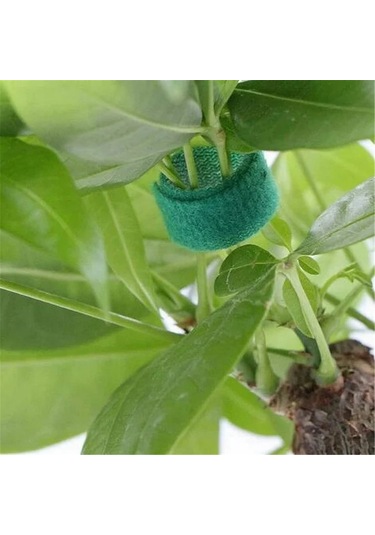 Reedark 2 Adet Bahçe Bitki Sabitleyici, 10mmx10m Nilon Bant, Yeniden Kullanılabilir, Çift Taraflı, Hava Dayanıklı, Dal Ve Sarmaşık Taşınımı İçin