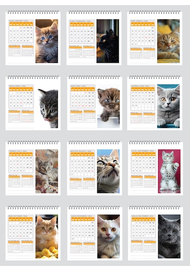 2026 Yeni Kedi Masa Takvimi-16x15 Cm