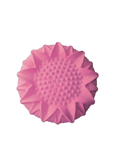 Beaks Çilek Aromalı Gaga Taşı - Tekli