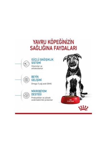 Royal Canin Maxi Junior Büyük Irk Yavru Köpek Maması 4 KG