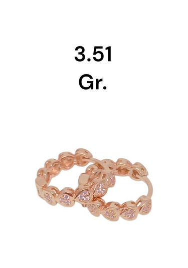 Kalpli Taşlı Sevimli 925 Ayar Gümüş Küpe Zarif Ve Modern Tasarım Gümüş