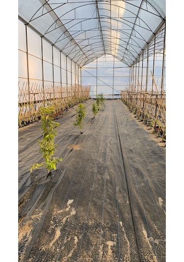 Morilu Sera Taban Örtüsü – Jüt Taban Örtüsü – Siyah – 90 gram