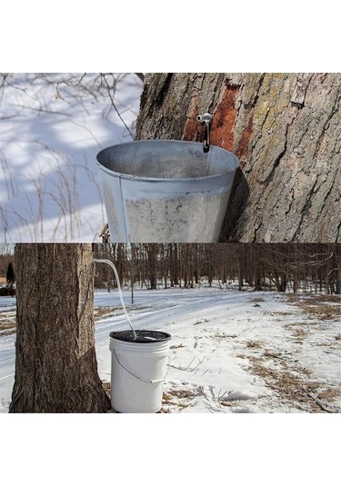 Createtech Paslanmaz Çelik Musluk Takımı, Şurup Musluğu Akçaağaç Dz Çok Renkli