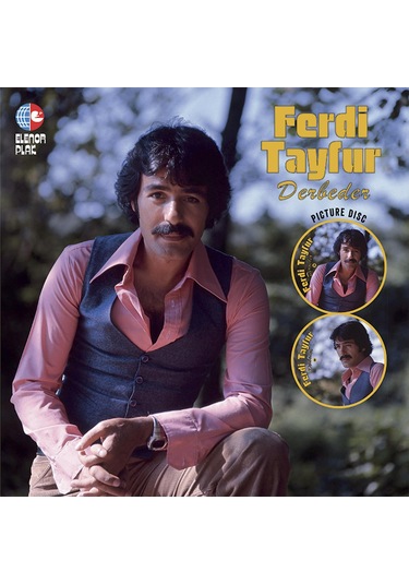 Ferdi Tayfur - Derbeder Picture Plak