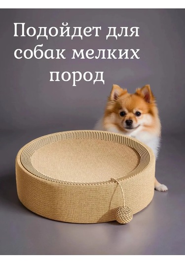 Vektorı Kedi İçin Tırmalama Yatağı 466551049