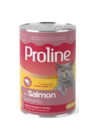 Proline Sos İçinde Et Parçacıklı Somonlu Yetişkin Konserve Kedi Maması 400 G