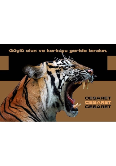 Kaplan sözlü Fotoğraf Kanvas Tablo