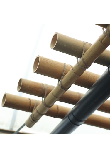 Dekoratif Bambu Xl