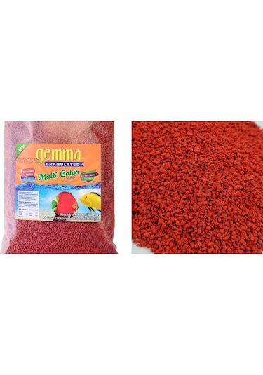 Multi Color Karışık Beslenen ve Malawi Cichlid Ciklet Gibi Etobur