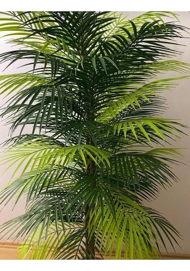 Rüzgar Yapay Çiçekçilik 150 Cm Palmiye Ağacı Yeşil