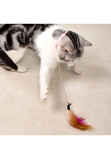 Boyuna Takılan Kedi Oyun Oltası