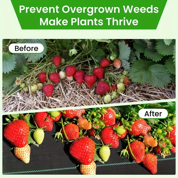 Gateesat 1 Rulo 3x50ft Ağır Hizmet Yabani Ot Önleyici Uv Dayanıklı Bahçe Kumaşı