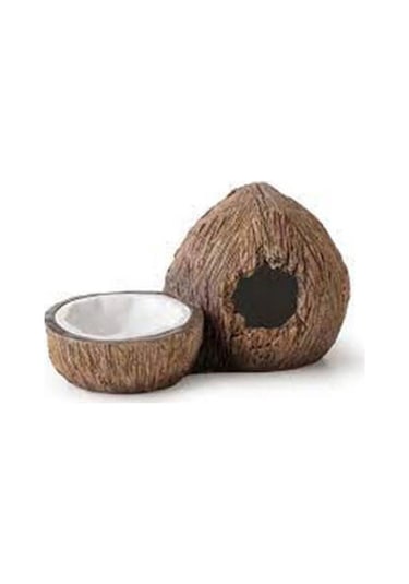 Ex Coconut Sürüngen Saklanma Alanı Ve Su Kabı