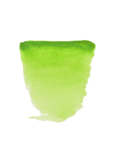 Van Gogh Sulu Boya Permanent Yellowısh 10 Ml.tüp Diğer