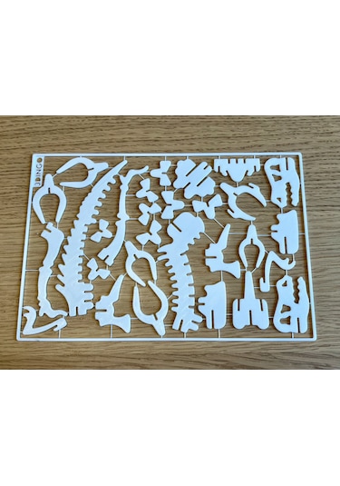 T-rex 3d Dinozor Puzzle Maket Kiti 29 Parça Kurulabilir Oyuncak
