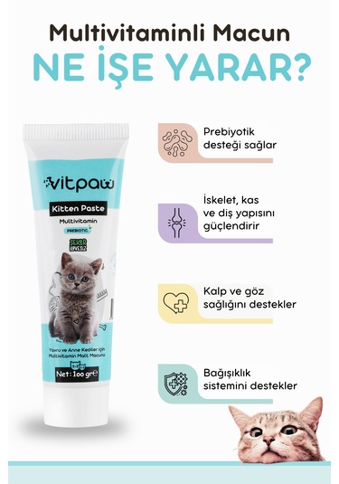 Vitpaw Kitten & Mom Paste