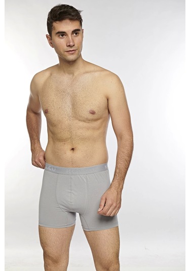 Kolcu Erkek Likralı Boxer K1340-gri Gri