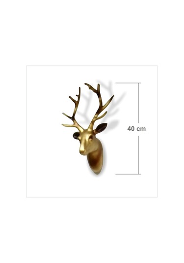 Şömine Tv Televizyon Kapı Yanı Banyo Duvarı Üstüne Geyik Başı