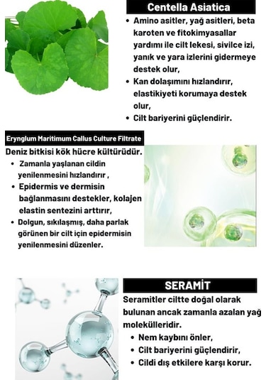 Dermal Cica x Mide Toner Centella Asiatica ve Seramid Özlü Sakinleştirici Tonik 200 ML